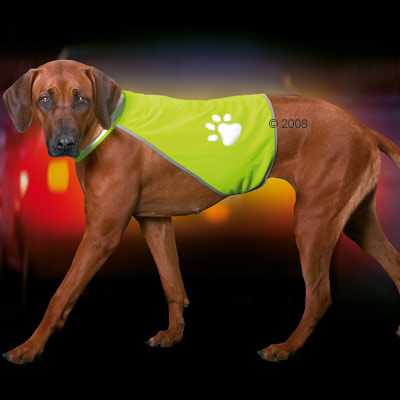 veiligheidsvest safety dog      maat l: 48   56 cm halsomvang