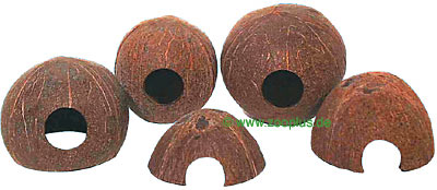 jbl cocos cava     1/1 (maat l)