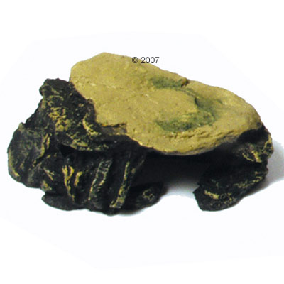 baarsgrot      15 cm  x  8,5 cm  x  5 cm