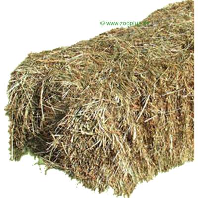 jr farm stro baal      10 kg