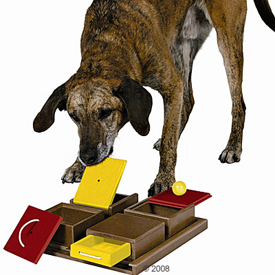 hondenspeelgoed dog activitiy poker box     31 x 10 x 31 cm