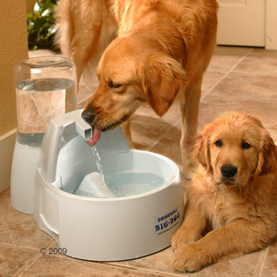 drinkwell big dog hondendrinkplaats     borstelset