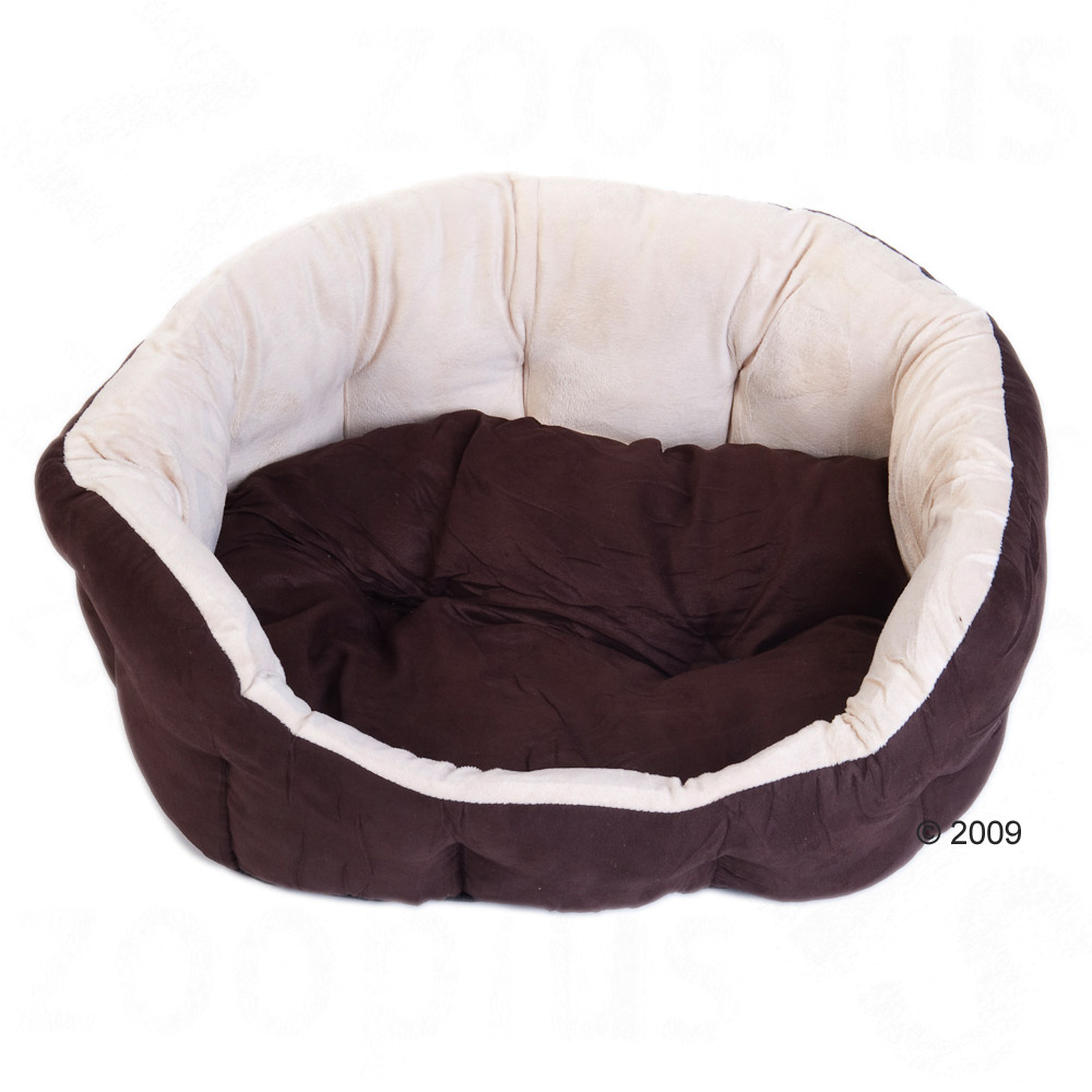 hondenbed cozy bruno     l 50 x b 40 x h 20 cm