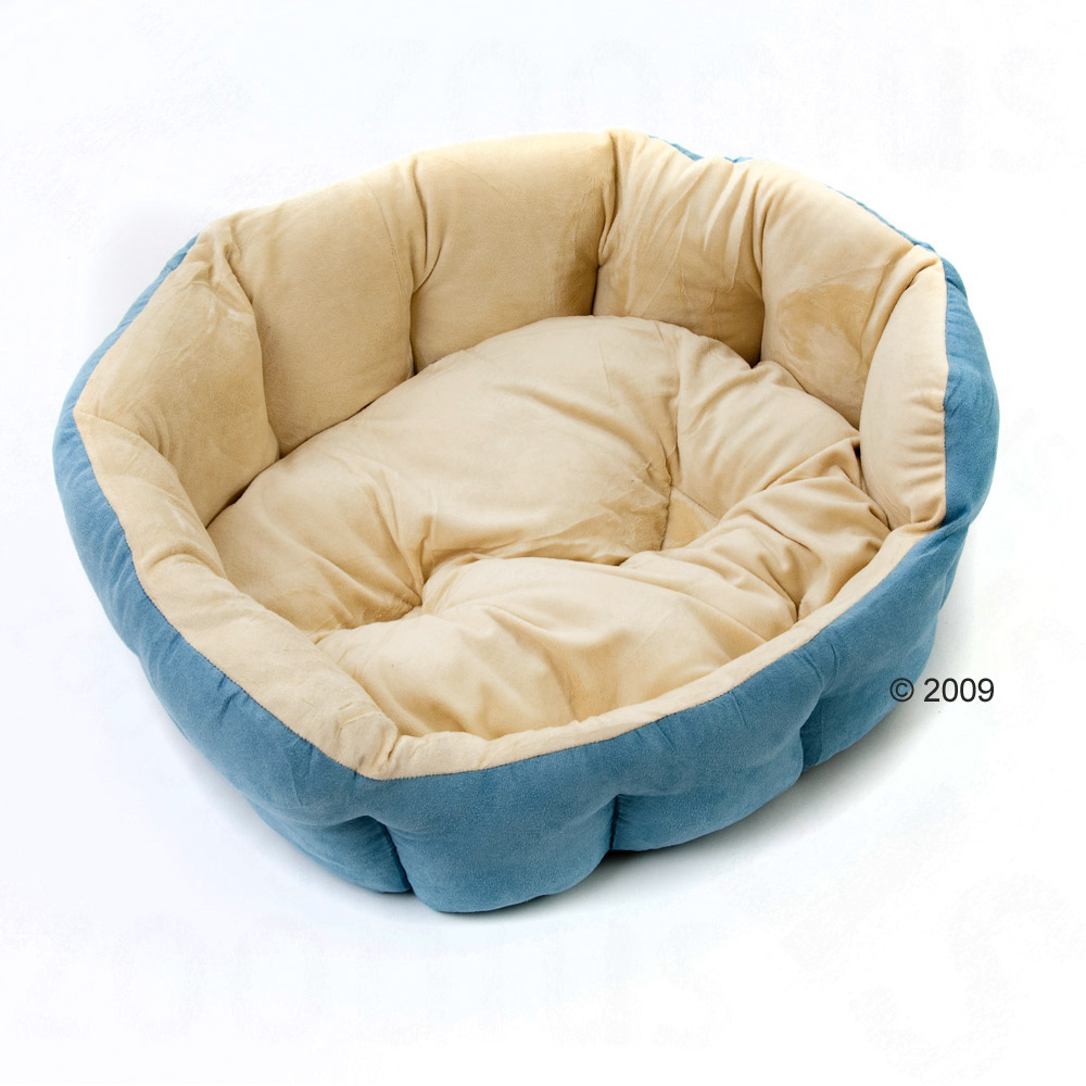 kattenbed cozy azur     l 50 x b 40 x h 20 cm