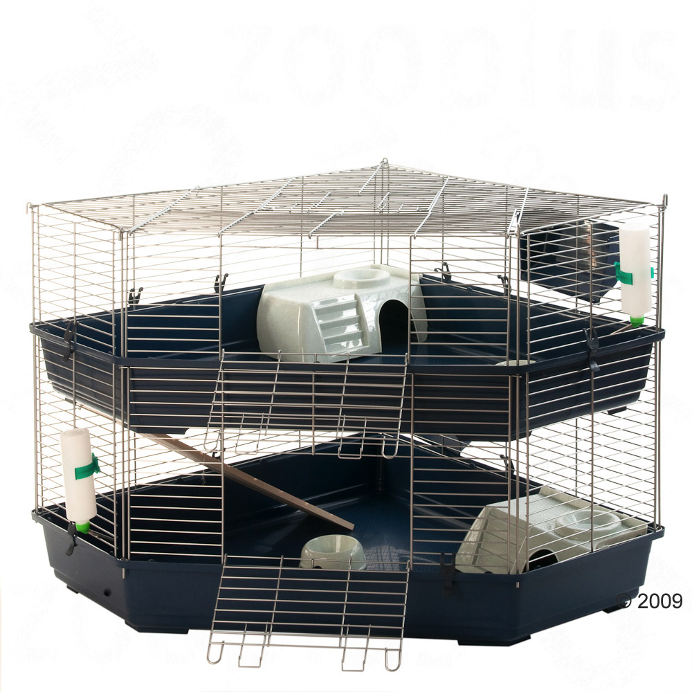 Onbeleefd Hertogin tweeling 140 cm breed, Konijnenkooi, Kooien & rennen, Knaagdieren: online dierenwinkel / dierenspeciaalzaak! Onbeleefd Hertogin tweeling 140 cm breed, Konijnenkooi, Kooien & rennen, Knaagdieren: online dierenwinkel / dierenspeciaalzaak!