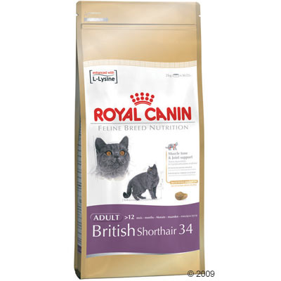 Royal canin british shorthair 34     10 kg van kantoor artikelen tip.