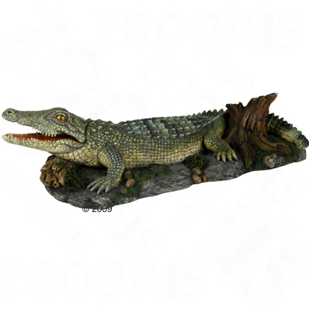 krokodil met  uitstroom     grootte 26 cm