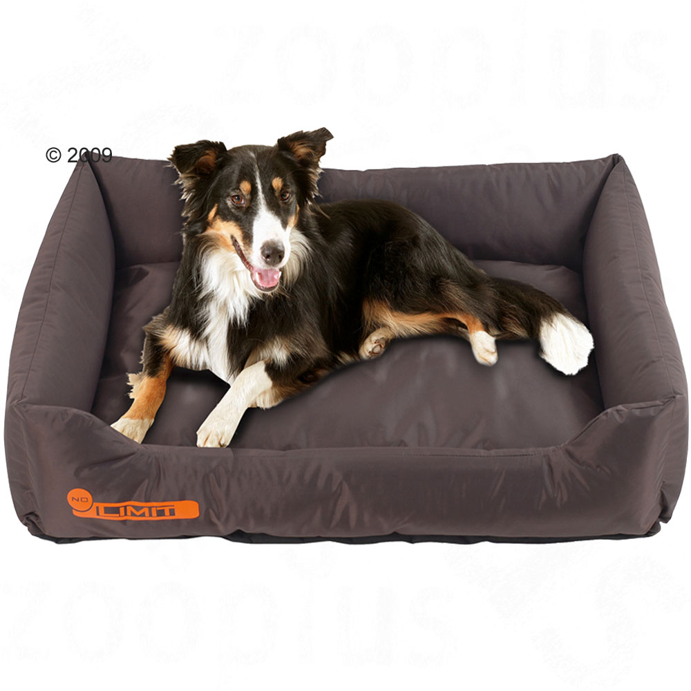 teflon bed no limit bruin     l 100 x b 70 x h 20 cm
