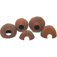 JBL Cocos Cava - - 1/1 (maat M) 