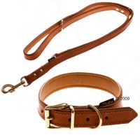  Lederen halsband & showlijn Buffalo - - lijn & halsband (60 cm lang / 25 mm breed) 