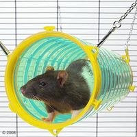  Speeltunnel Giant Tube - - Doorsnee 11 cm 