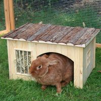  Nature Plus Huisje met hooiruif - - L 54 x B 41 x H 30 cm 