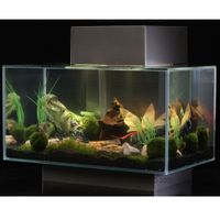  Fluval Edge Aquarium 25 liter - - zwart 
