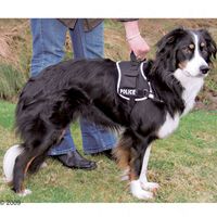  Hondentuig XDog - - Maat L/XL: 50 - 100 buikomvang 