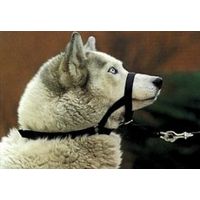  Halti anti-trek-halster zwart - - maat 3 (Labrador, Dobermann) 