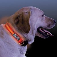  LED hondenveiligheidshalsband - - maat M: 33 - 46 cm halsomvang 