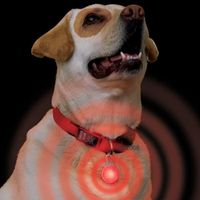  Veiligheidshanger karabiner LED - - rood licht 