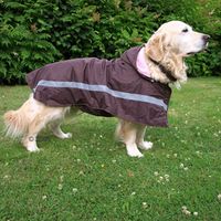  Hondenmantel Casual met capuchon - - maat 60: 60 cm ruglengte 