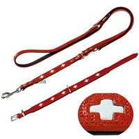  Hunter Set: Halsband Swiss + hondenlijn Swiss - - maat halsband 70 + lijn 2 m lang, 18 mm breed 