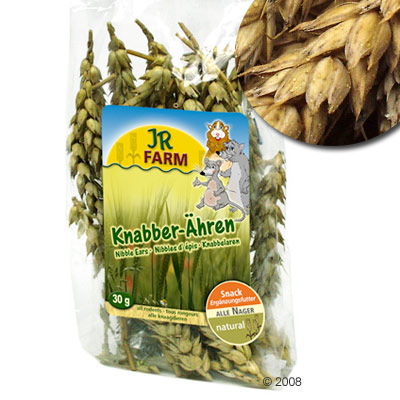 jr farm knabberaren      tarwe 100 g (ca. 50 stuk)