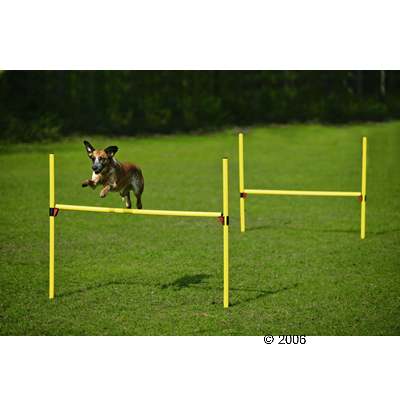 agility hindernissen set     2 hoogtesprongen