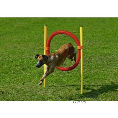 agility ringen     1 stuk