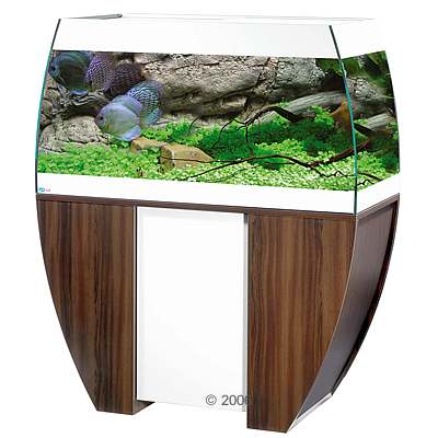 mp scubabay aquarium combinatie     wengé / wit