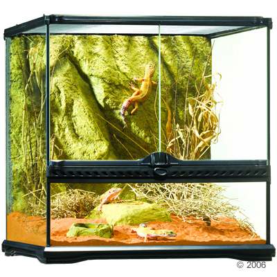 hagen exo terra glas terrarium met achterwand     maat: l 30 x b 30 x h 45 cm