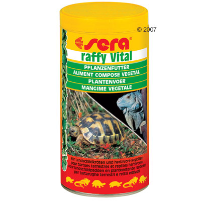44946_sera_raffy_vital_1.jpg