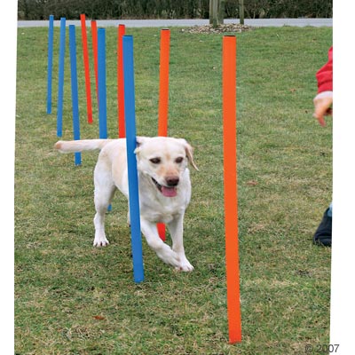 Trixie Agility Parcours Slalom stan