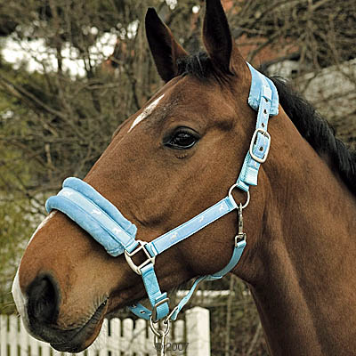paardenhalster soft voor paarden     pony, marine
