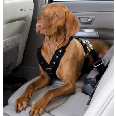 hunter easy comfort veiligheidstuig voor in de auto     maat l: buikomvang 60   80 cm