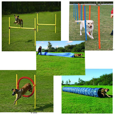 Trixie Complete Agility Set Spaarpa