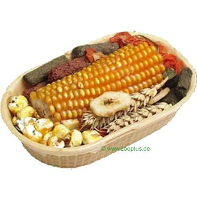 jr farm knaagdiermandje    