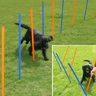 agility fun & sport slalom set     12 palen