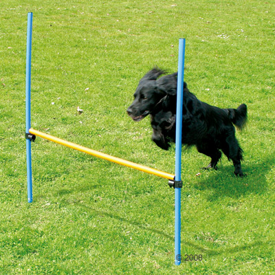 Agility fun & sport hoogtesprong     1 hoogtesprong van kantoor artikelen tip.