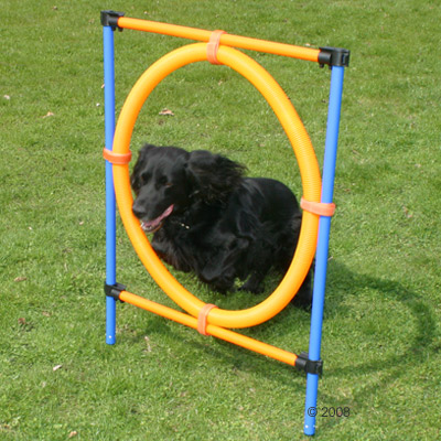 Agility fun & sport springring     ca. Ø 55 cm van kantoor artikelen tip.