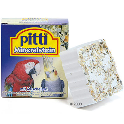 pitti knaagsteen met schelpengrit     1 stuk