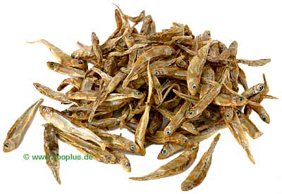 gedroogde vis     500 g
