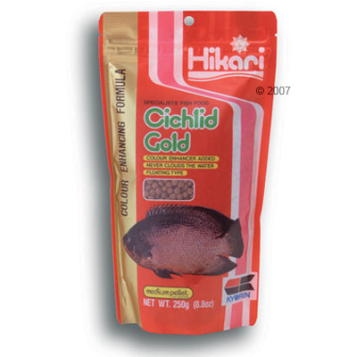 hikari cichlid gold specialiteit voer voor cichliden     medium korrels 250 g