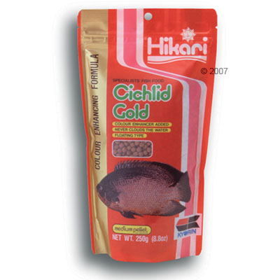 Hikari Cichlid Gold Specialiteit voer voor Cichliden mini korrels 250 g