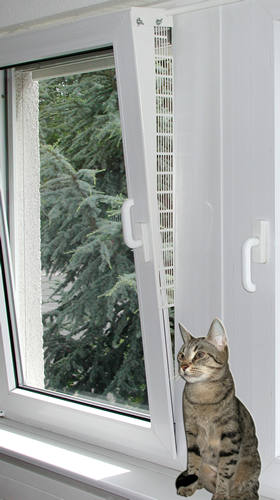 bernina raambeveiliging voor katten en vogels     dubbel kiepraam