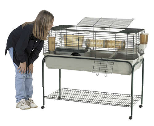 natuurlijk fee Orkaan 120 cm, Konijnenkooi, Kooien & rennen, Knaagdieren: online dierenwinkel / dierenspeciaalzaak! natuurlijk fee Orkaan 120 cm, Konijnenkooi, Kooien & rennen, Knaagdieren: online dierenwinkel / dierenspeciaalzaak!