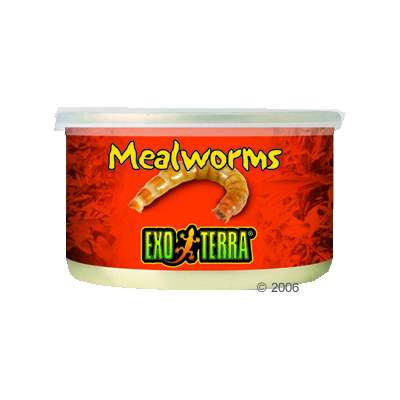 hagen exo terra meelwormen reptielenvoer     34 g