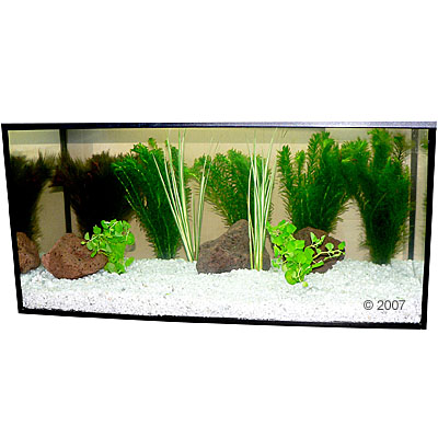 Aquariaplanten Zooplants Goudvis In Het Water 9 Pflanzen