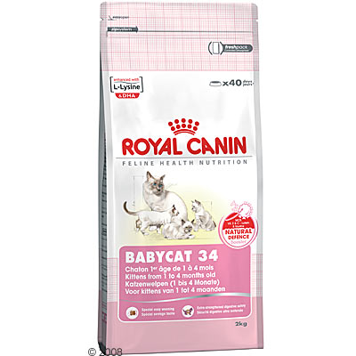 Royal canin babycat 34      2 kg van kantoor artikelen tip.