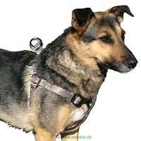  Trixie hondentuig Elegance - - borstomvang 65 - 80 cm / 25 mm breed 