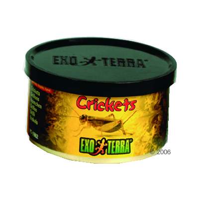 hagen exo terra krekels reptielenvoer     34 g