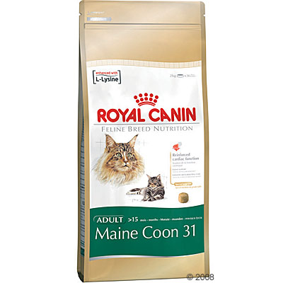 royal canin maine coon 31      10 kg