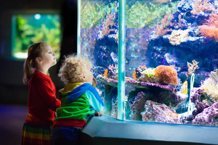 Niet kloppen op een aquarium